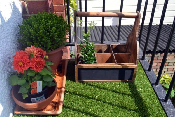 Terrace design with plants - beautiful examples and advice for you