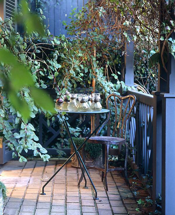 Terrace design with plants - beautiful examples and advice for you