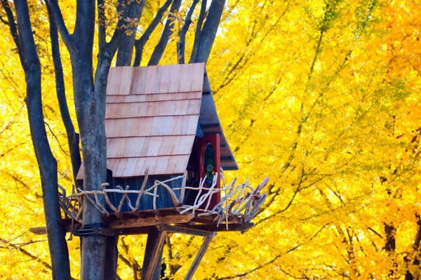 The most beautiful tree houses in the world