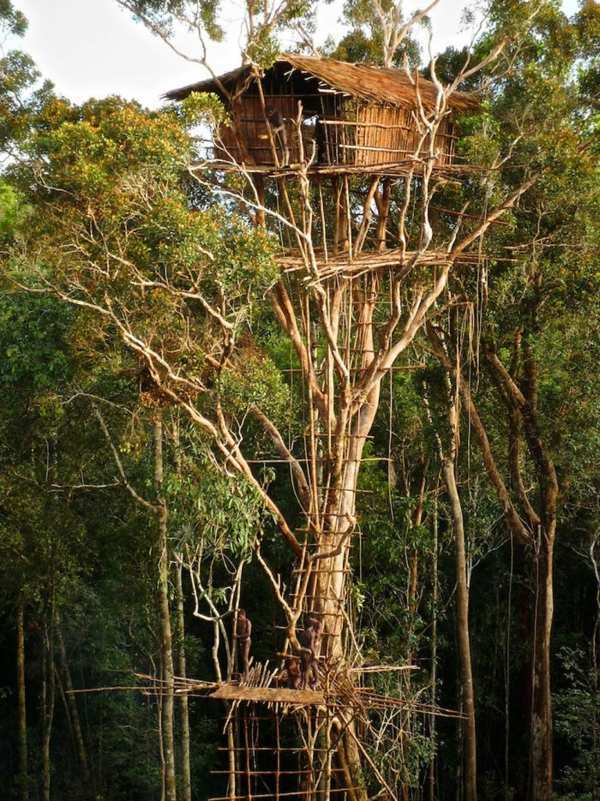 The most beautiful tree houses in the world