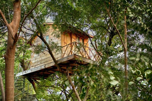 The most beautiful tree houses in the world The most beautiful tree houses in the world