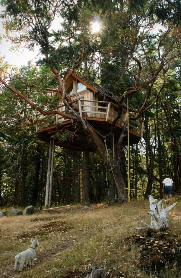 The most beautiful tree houses in the world