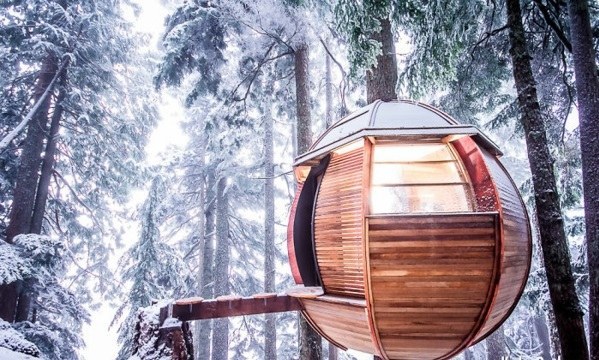 The most beautiful tree houses in the world