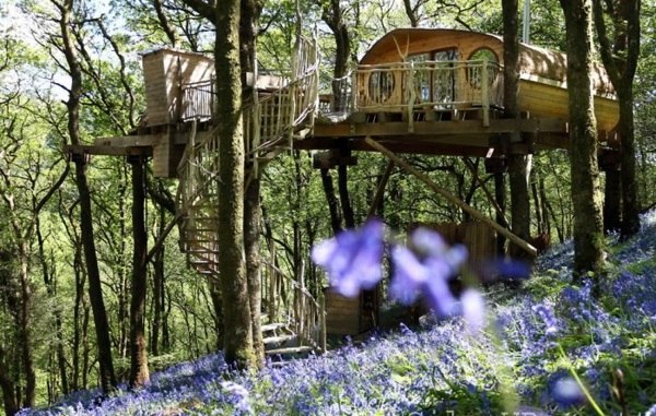 The most beautiful tree houses in the world