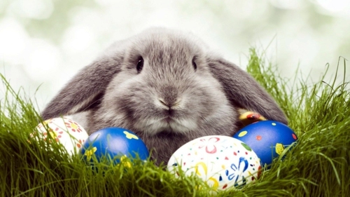 Osterdeko - The Legend of the Easter Bunny - Where does the Easter Bunny? Osterdeko - The Legend of the Easter Bunny - Where does the Easter Bunny?