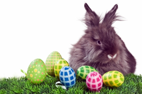 Ostern - The Legend of the Easter Bunny - Where does the Easter Bunny?