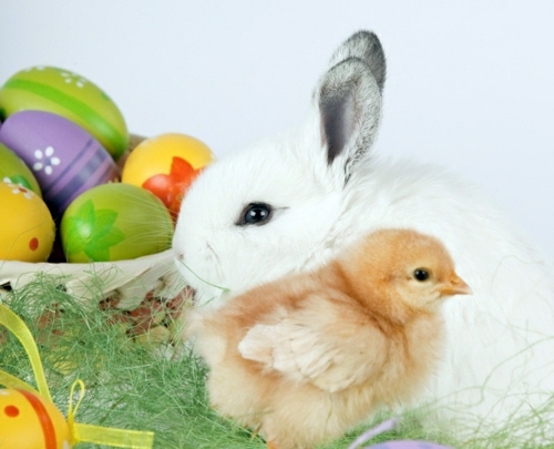 The Legend Of The Easter Bunny Where Does The Easter