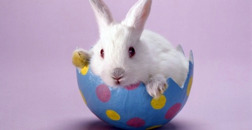 The Legend of the Easter Bunny - Where does the Easter Bunny?