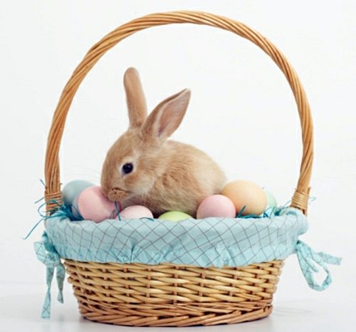 The Legend of the Easter Bunny - Where does the Easter Bunny? The Legend of the Easter Bunny - Where does the Easter Bunny?