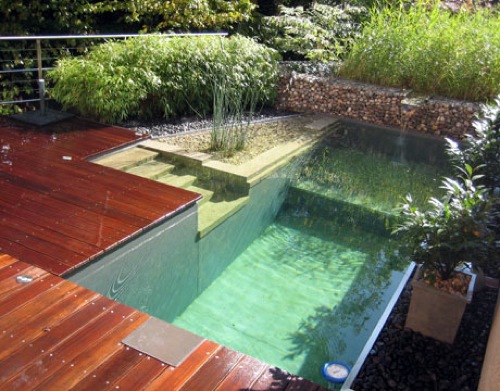 10 interesting designs swimming pool - summer mood and have fun