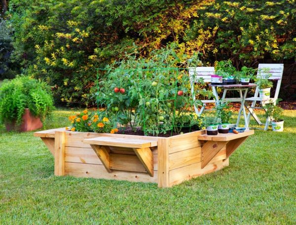 Grow vegetables and Kräuterhochbeet itself