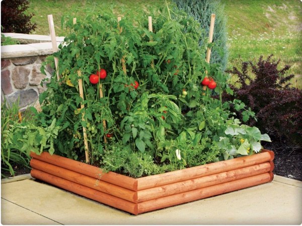 Grow vegetables and Kräuterhochbeet itself