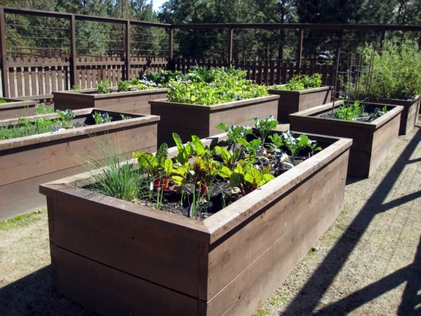 Grow vegetables and Kräuterhochbeet itself