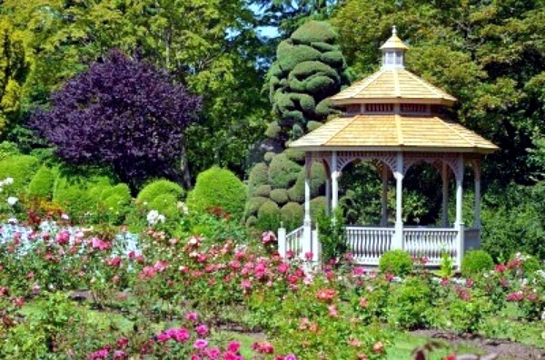 Pergola in the garden - a perfect shade in summer