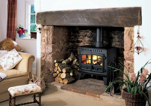 Wood stove and fireplace insert offers a cozy fireplace
