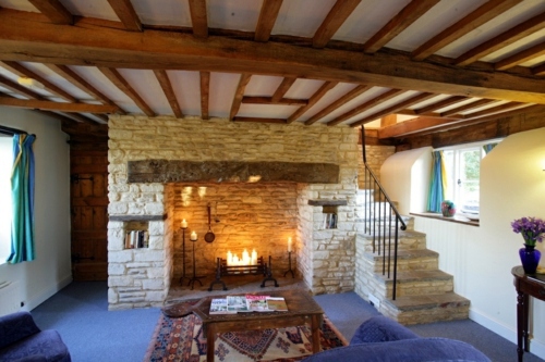 Wood stove and fireplace insert offers a cozy fireplace