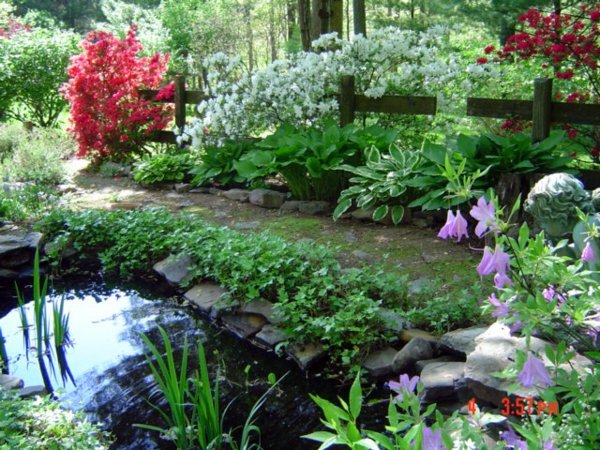Beautify your yard - ideas for a welcoming atmosphere of spring in the garden Beautify your yard - ideas for a welcoming atmosphere of spring in the garden