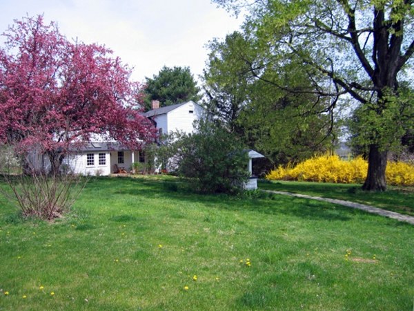 Beautify your yard - ideas for a welcoming atmosphere of spring in the garden Beautify your yard - ideas for a welcoming atmosphere of spring in the garden