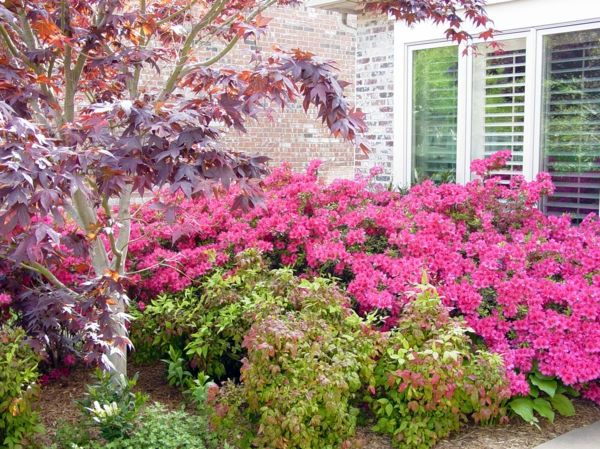 Beautify your yard - ideas for a welcoming atmosphere of spring in the garden
