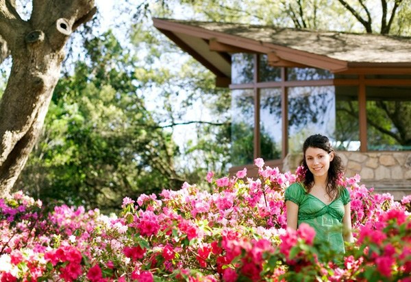 Beautify your yard - ideas for a welcoming atmosphere of spring in the garden Beautify your yard - ideas for a welcoming atmosphere of spring in the garden