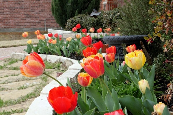 Beautify your yard - ideas for a welcoming atmosphere of spring in the garden Beautify your yard - ideas for a welcoming atmosphere of spring in the garden