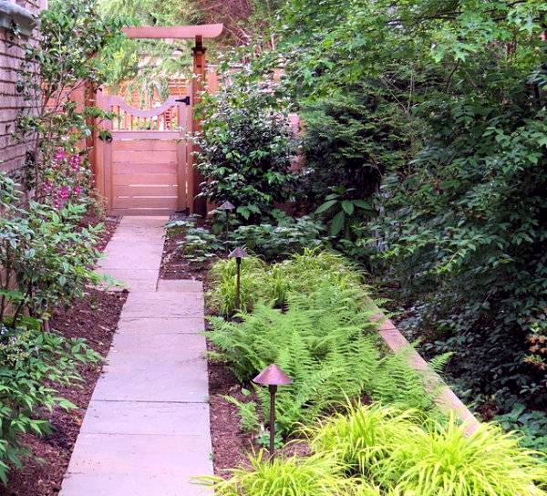 Provide your garden with shade and purity