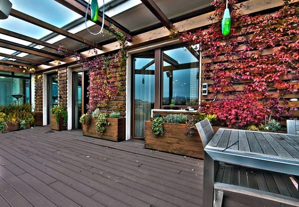 Provide your garden with shade and purity
