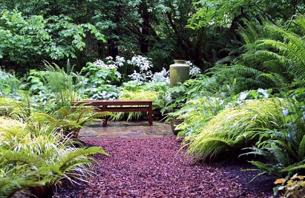 Provide your garden with shade and purity