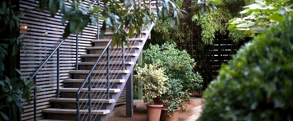 Provide your garden with shade and purity