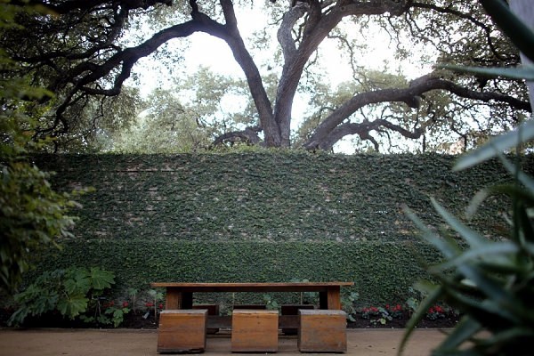 Provide your garden with shade and purity