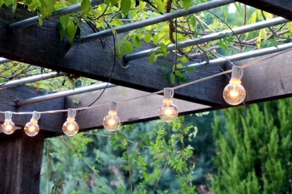Provide your garden with shade and purity