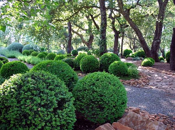 Provide your garden with shade and purity