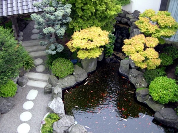 Creating a beautiful garden pond - Create a Water Garden
