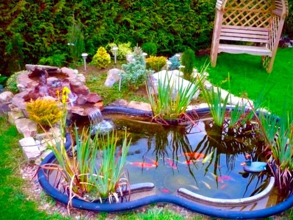 Creating a beautiful garden pond - Create a Water Garden