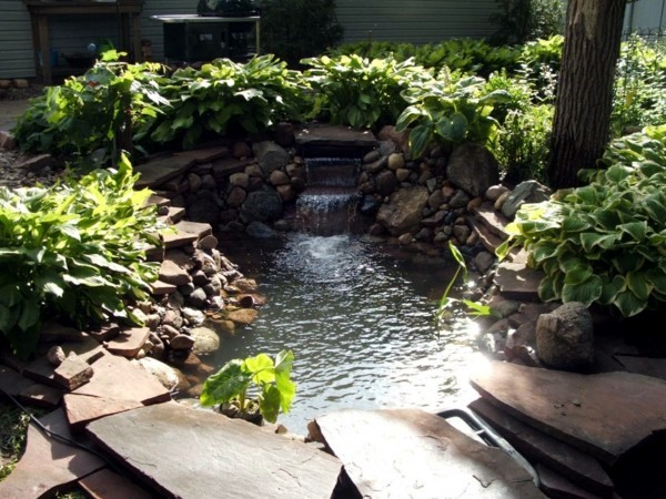 Creating a beautiful garden pond - Create a Water Garden