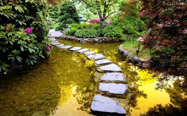 Creating a beautiful garden pond - Create a Water Garden