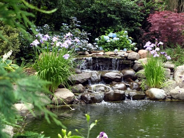 Creating a beautiful garden pond - Create a Water Garden Creating a beautiful garden pond - Create a Water Garden