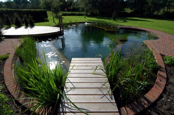 Creating a beautiful garden pond - Create a Water Garden