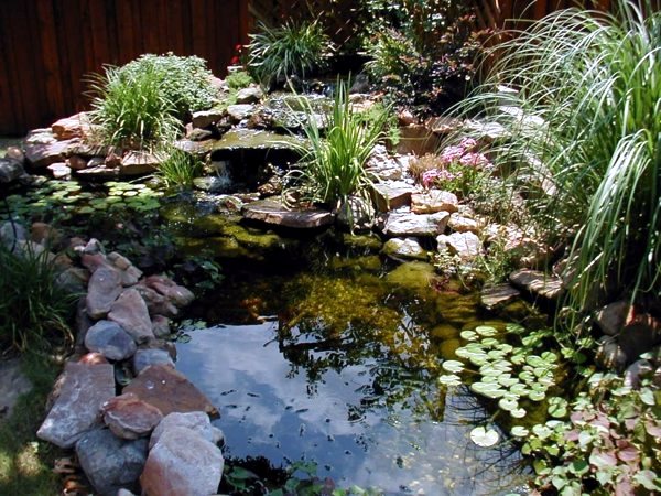 Creating a beautiful garden pond - Create a Water Garden