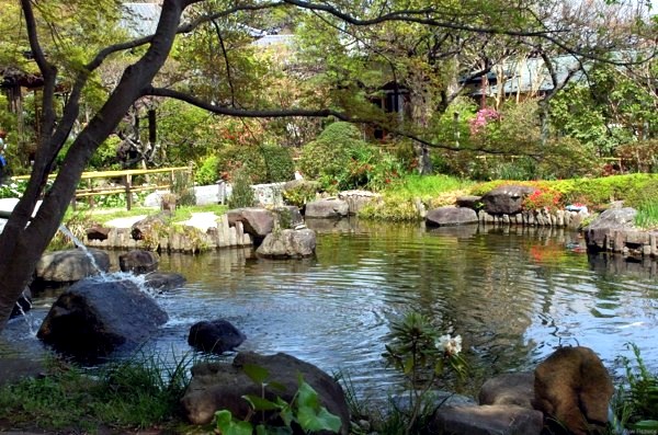 Creating a beautiful garden pond - Create a Water Garden