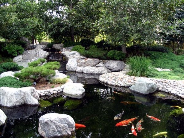 Creating a beautiful garden pond - Create a Water Garden