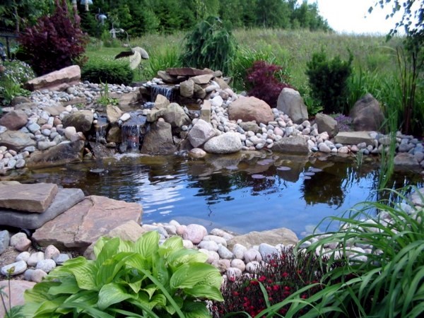 Creating a beautiful garden pond - Create a Water Garden