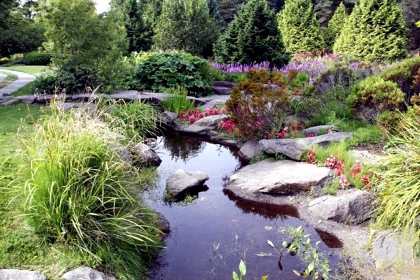 Creating a beautiful garden pond - Create a Water Garden