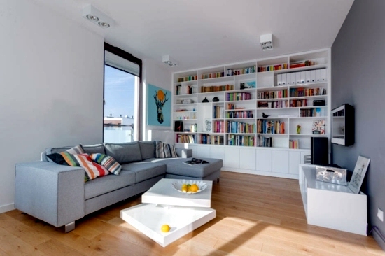 Modern Living Room - 50 decorating ideas with a twist