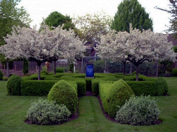 Landscaping ideas with furniture