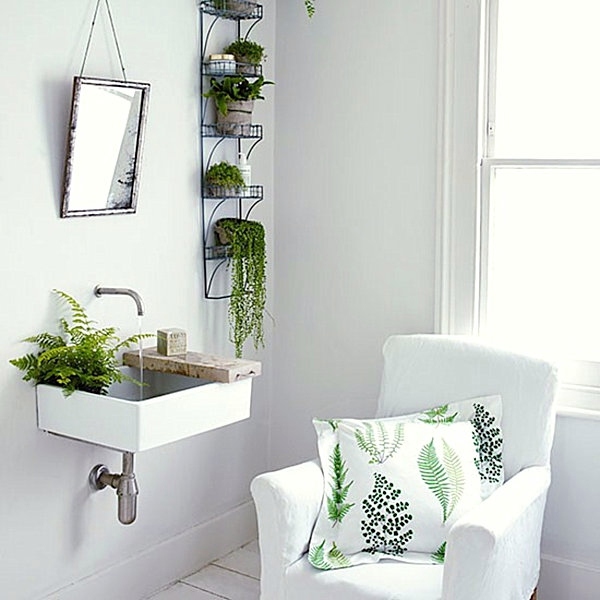 Interior Design Ideas Green Houseplants In The Bathroom