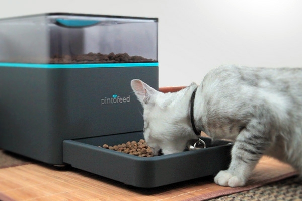 Feed the pet via smartphone Feed the pet via smartphone