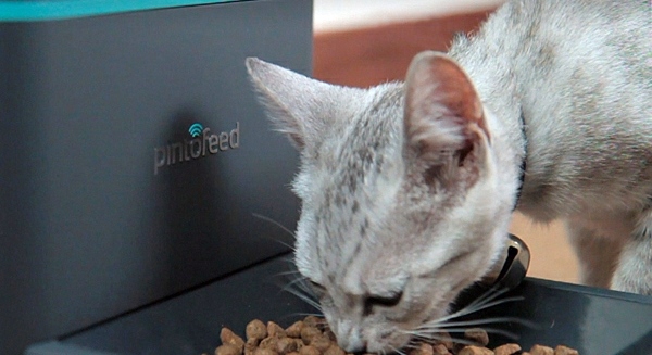 Feed the pet via smartphone Feed the pet via smartphone