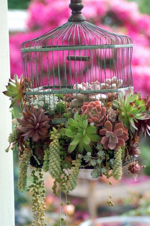 Garden decoration make yourself