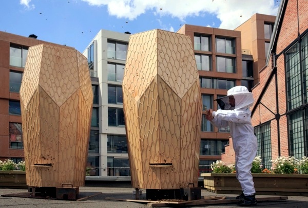 Contemporary - The volcano beehive, designed by Snohetta, dusted Oslo